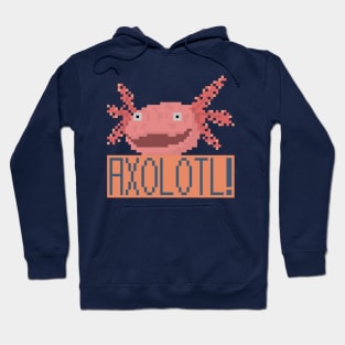 Axolotl Smile Pixel Hoodie